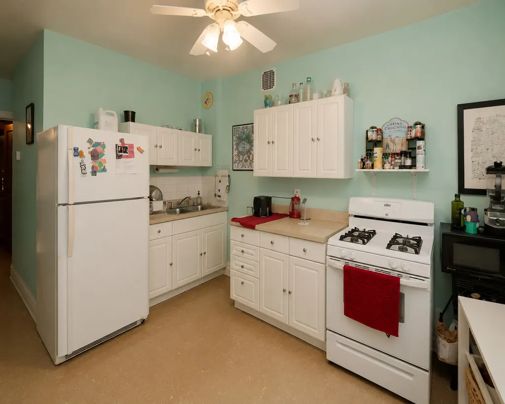 3517 West Palmer Street Chicago IL 60647
