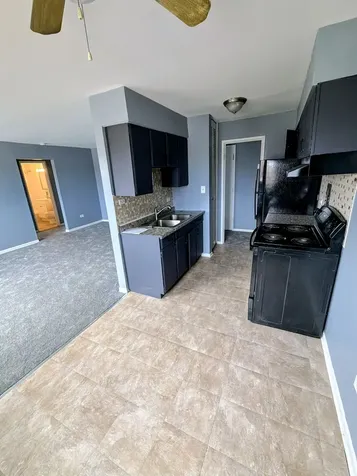 723 Grant Avenue Chicago Heights IL 60411