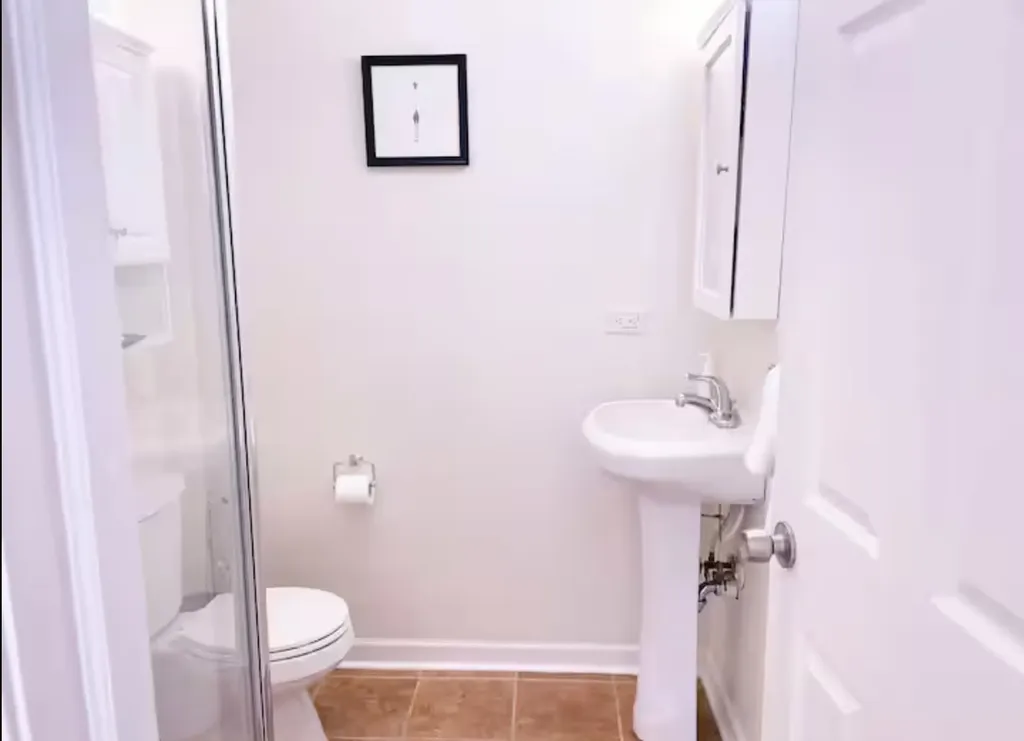 1028 West 20th Place Chicago IL 60608