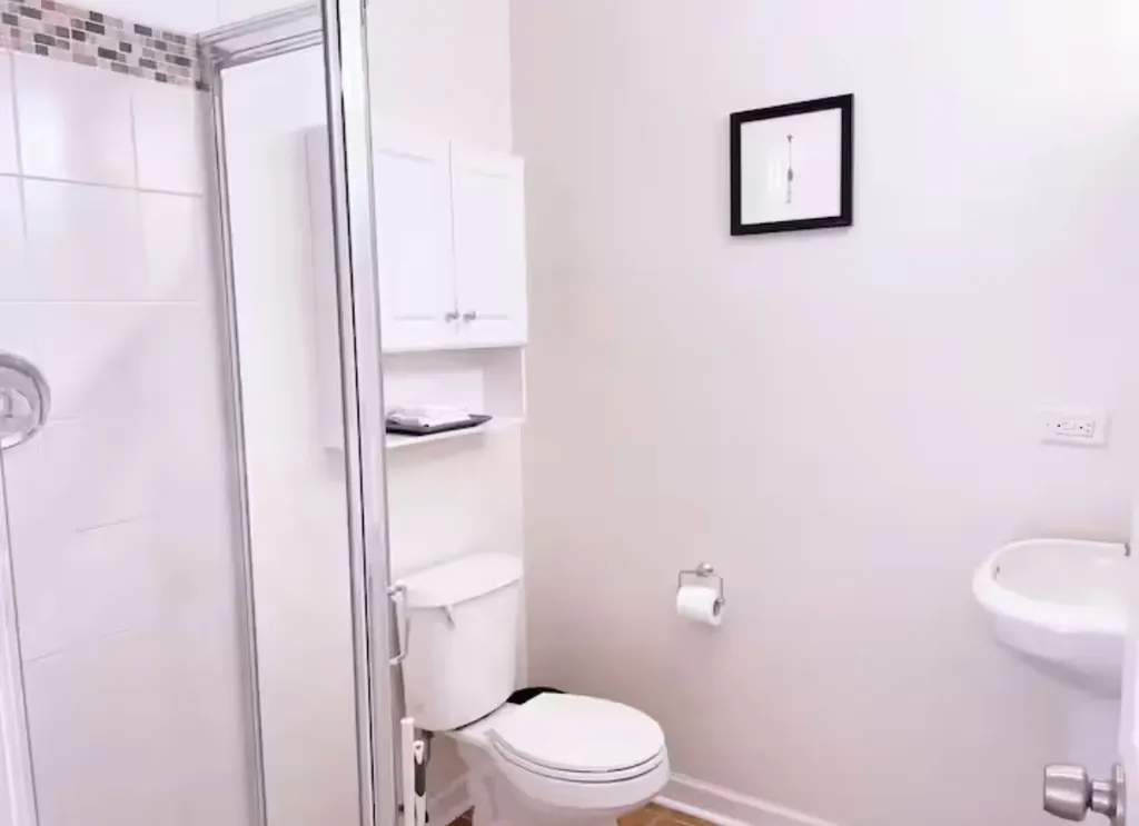1028 West 20th Place Chicago IL 60608