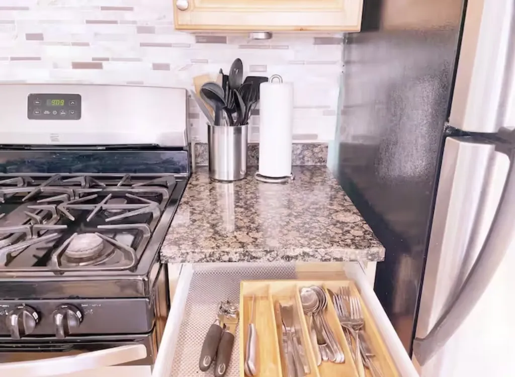 1028 West 20th Place Chicago IL 60608