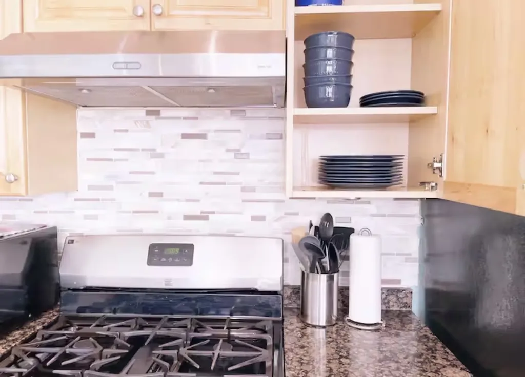 1028 West 20th Place Chicago IL 60608