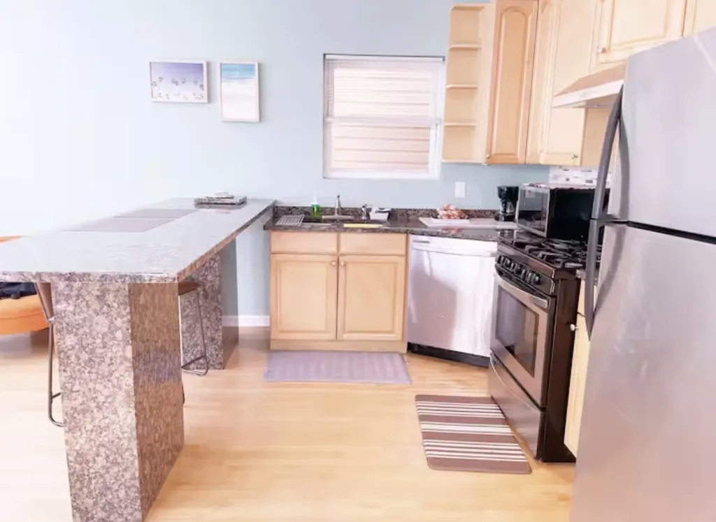 1028 West 20th Place Chicago IL 60608
