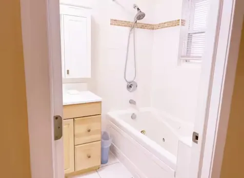 1028 West 20th Place Chicago IL 60608