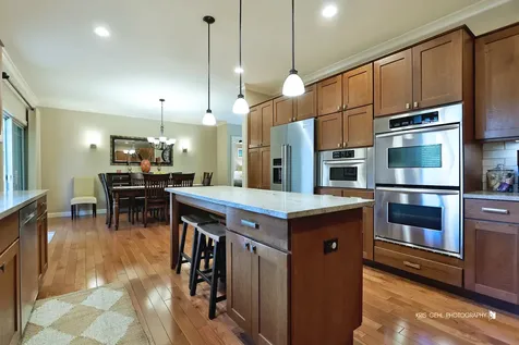 21469 West Nielson Drive Lake Villa IL 60046