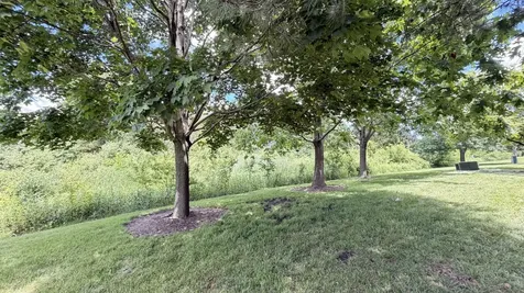 406 Pine Lake Circle Vernon Hills IL 60061
