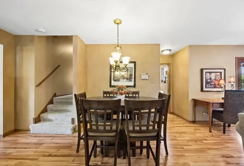 7006 Coachwood Trail Tinley Park IL 60477