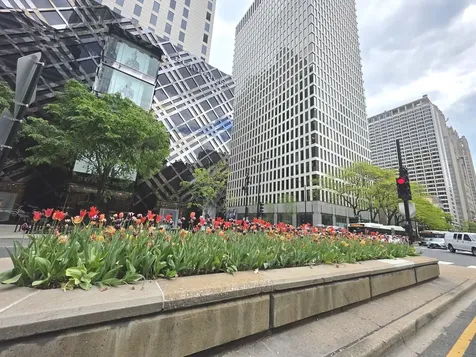 1000 North Lake Shore Drive Chicago IL 60611