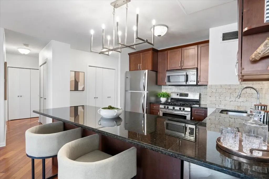 1150 North Lake Shore Drive Chicago IL 60611