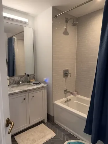 514 North Peshtigo Court Chicago IL 60611
