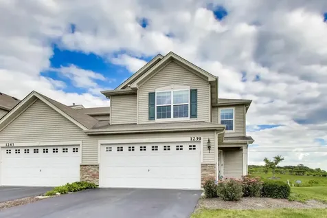1239 Da Vinci Drive Hampshire IL 60140