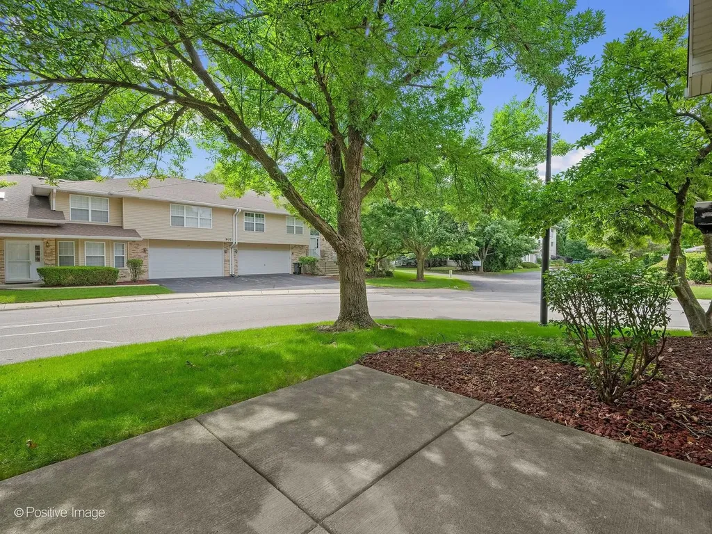 920 Elderberry Circle Naperville IL 60563