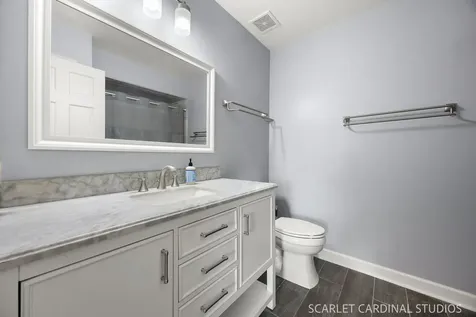 6076 Angel Lane Lisle IL 60532