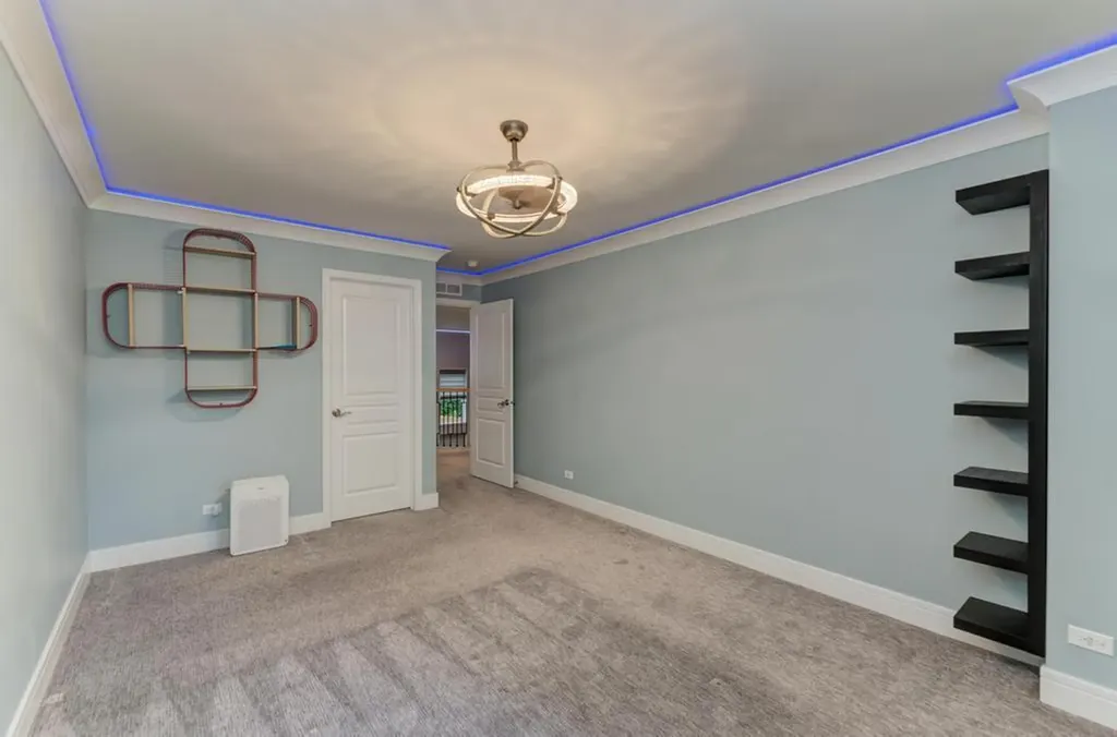12308 Blue Iris Lane Plainfield IL 60585