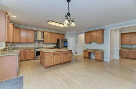 12308 Blue Iris Lane Plainfield IL 60585
