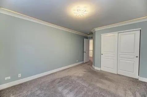 12308 Blue Iris Lane Plainfield IL 60585