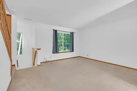 312 West Treehouse Lane Round Lake IL 60073