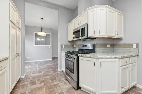 1815 Paddock Court Grayslake IL 60030