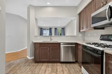 178 Cripple Creek Court Schaumburg IL 60194