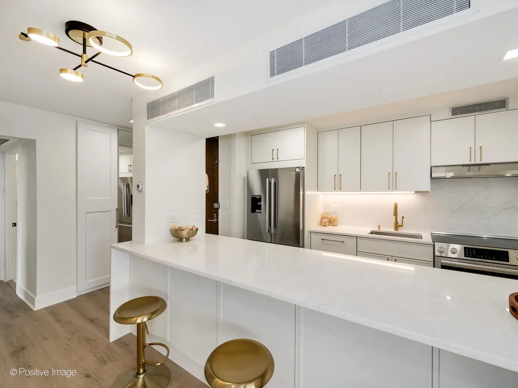 1310 North Ritchie Court Chicago IL 60610