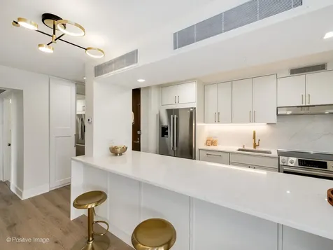 1310 North Ritchie Court Chicago IL 60610