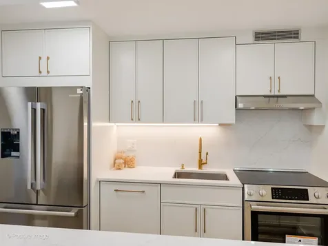 1310 North Ritchie Court Chicago IL 60610