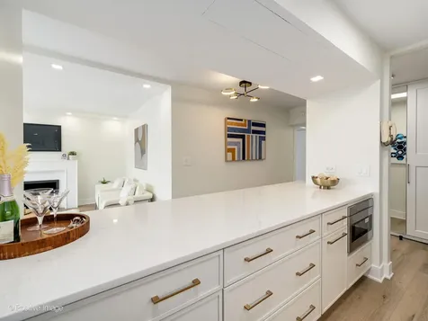 1310 North Ritchie Court Chicago IL 60610