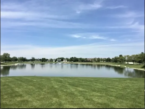 21214 Lily Lake Lane Crest Hill IL 60403