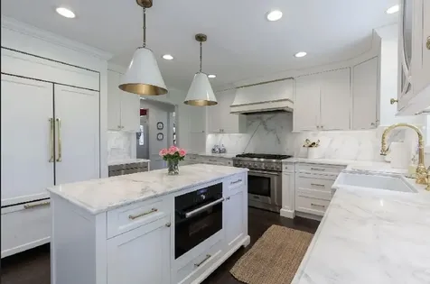 1010 Thunderbird Lane Naperville IL 60563