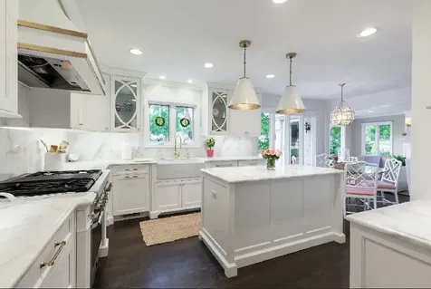 1010 Thunderbird Lane Naperville IL 60563