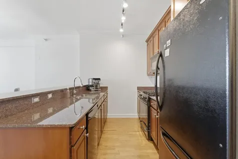 233 East 13th Street Chicago IL 60605