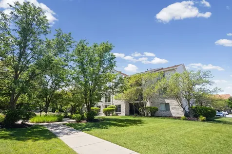 6855 Forestview Drive Oak Forest IL 60452