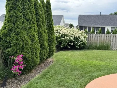 318 Piazza Lane Chatham IL 62629