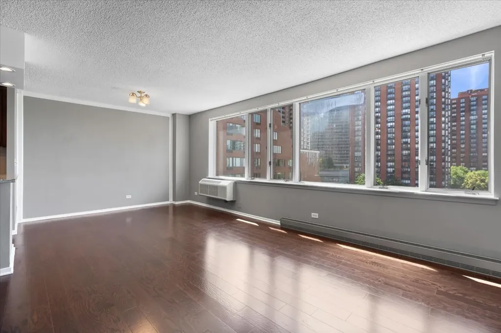 801 South Plymouth Court Chicago IL 60605