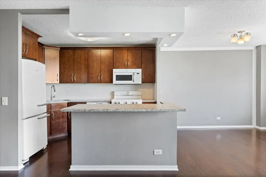 801 South Plymouth Court Chicago IL 60605