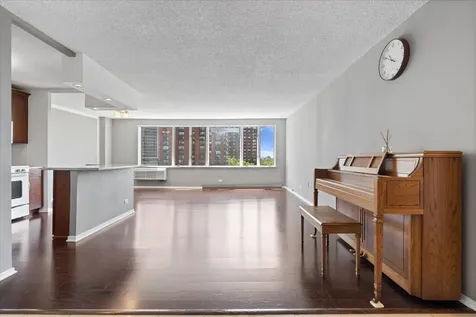 801 South Plymouth Court Chicago IL 60605