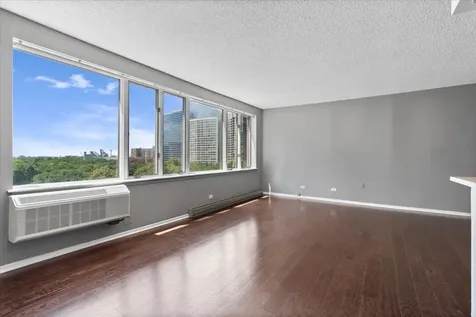 801 South Plymouth Court Chicago IL 60605