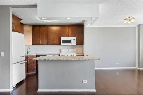 801 South Plymouth Court Chicago IL 60605