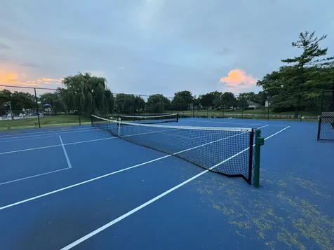 1675 Valley Forge Court Wheaton IL 60189