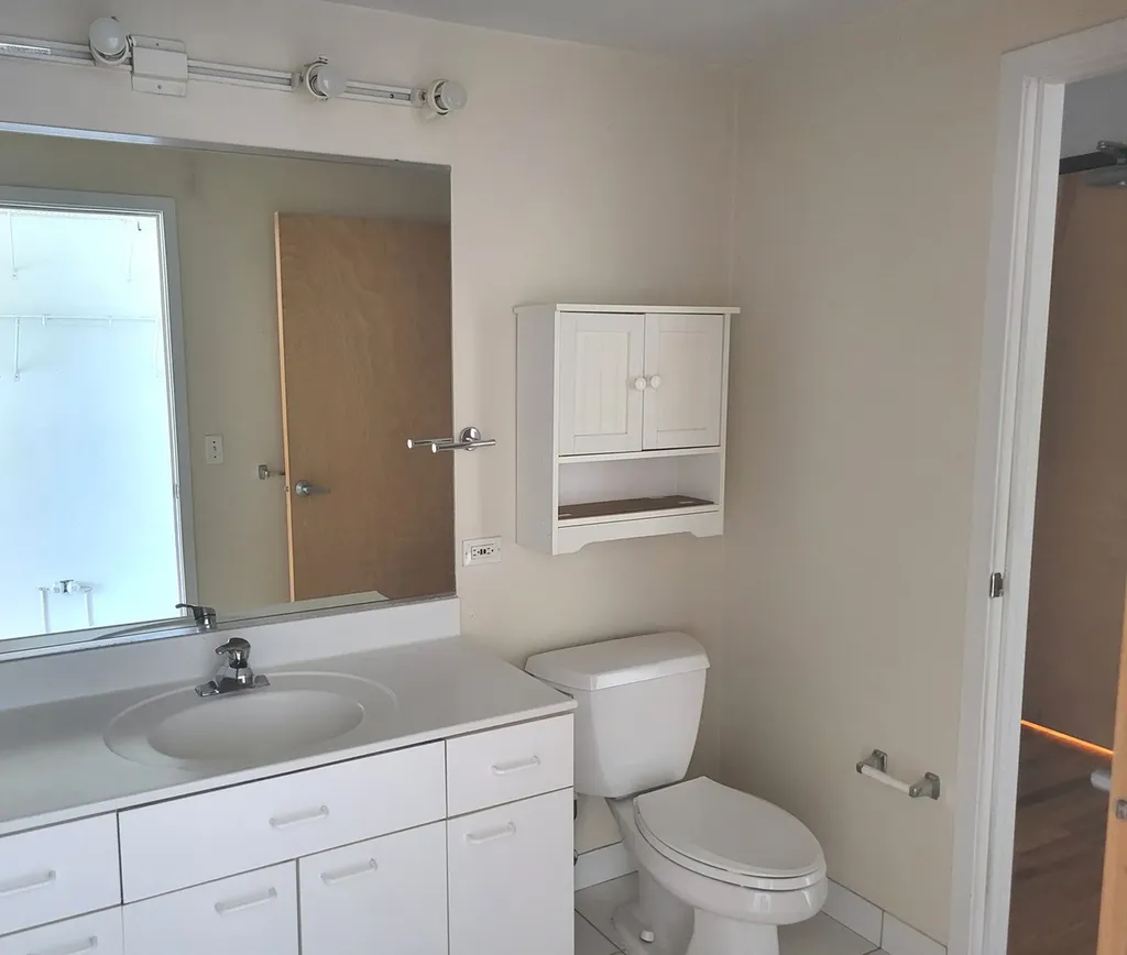 1845 South Michigan Avenue Chicago IL 60616