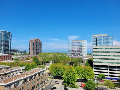 1845 South Michigan Avenue Chicago IL 60616