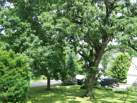 3212 Pleasant Drive Wonder Lake IL 60097