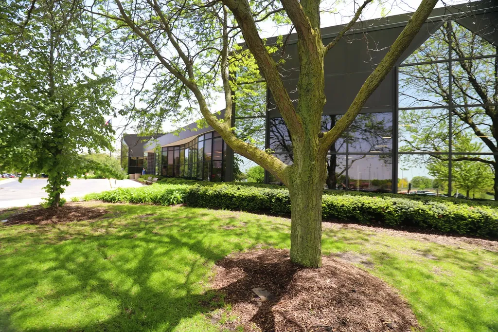 767 North Willow Road Elmhurst IL 60126