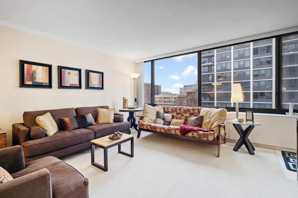 1555 North Sandburg Terrace Chicago IL 60610