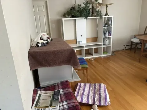 2411 West Balmoral Avenue Chicago IL 60625