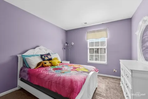 263 Lakeshore Drive Oswego IL 60543