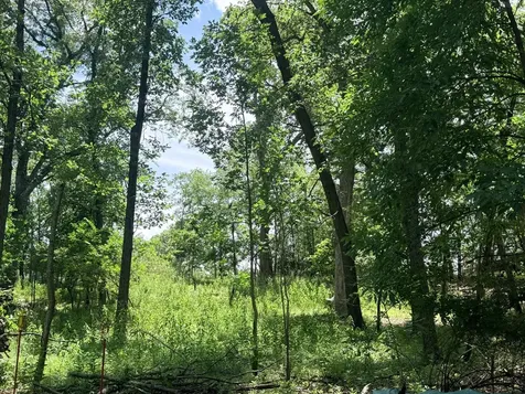 6-180 Woodhaven Lakes Sublette IL 61367