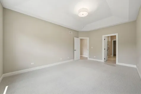 16590 Kayla Drive Lemont IL 60439