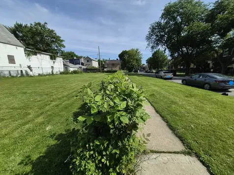 5404 West Walton Street Chicago IL 60651