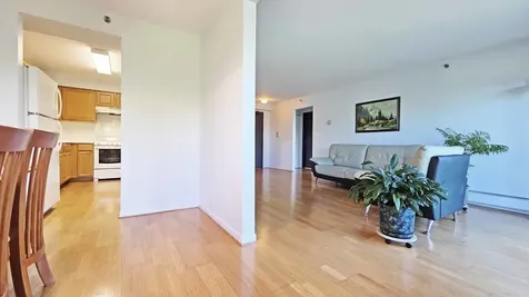1 Villa Verde Drive Buffalo Grove IL 60089